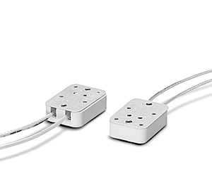 Fassung