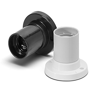 Fassung